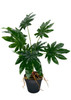 Plante artificielle Aralia de 55 cm, feuillage luxuriant et réaliste.
