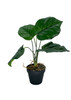 Plante artificielle Maranta réaliste en pot décoratif