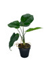 Vue latérale de la plante artificielle Maranta avec détails des feuilles