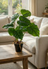 Visualisation décorative de la plante artificielle Maranta 44 cm en intérieur