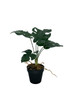 Détail des feuilles sculptées de la plante Monstera artificielle, réalisme accentué.