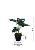 Dimensions de la plante Monstera artificielle 39 cm avec référence visuelle.