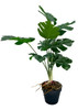 Monstera artificielle en position verticale, mise en valeur de la texture et des trous caractéristiq