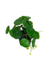 Plante artificielle Pilea en pot décoratif, 20 cm
