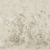 Variante 3