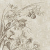 Fleur R&D - A