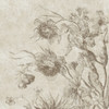Variante 4
