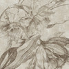 Variante 6