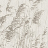 Variante 7