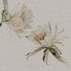 Papier peint a.Zara