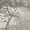 Variante 6