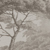 Variante 7