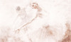 Papier peint Ballerina