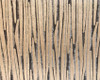 Papier peint Dune