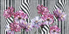 Papier peint Zebra Fleur