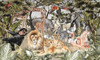 Papier peint Safari