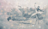 Papier peint Primaballerina