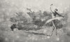Papier peint Primaballerina
