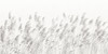 Papier peint Whisper