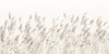 Papier peint Whisper