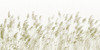 Papier peint Whisper