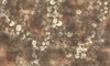 Papier peint WEM3
