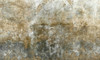 Papier peint Wabi Sabi
