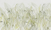 Papier peint Primavera