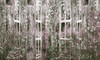 Papier peint Orangerie