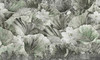 Papier peint Lotus Pond