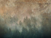 Papier peint La Veduta Forestale