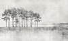 Papier peint Horizon