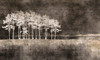 Papier peint Horizon