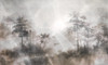 Papier peint Hazy