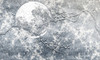 Papier peint Full Moon