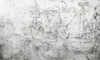 Papier peint Fregata