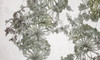 Papier peint Flores
