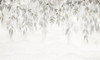 Papier peint Evergreen