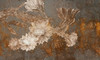 Papier peint Bloom