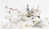 Papier peint Bellmont