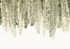 Papier peint Barbados
