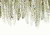 Papier peint Barbados