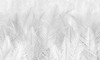 Papier peint Bal Palm