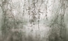 Papier peint Aura