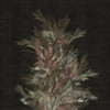 Papier peint Areca
