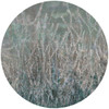 Papier peint cercle Golden Reeds 4