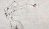 Papier peint Concrete nudes