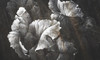 Papier peint Lush leaves