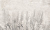 Papier peint Morning mist