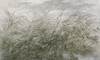 Papier peint Early Dawn 2